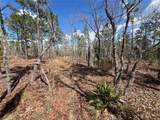 143 Quail Way - Photo 1