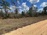 143 Quail Way - Photo 6