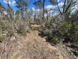 143 Quail Way - Photo 8