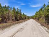 TBD Pounds Hammock Road - Photo 10