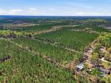 TBD Pounds Hammock Road - Photo 2