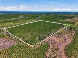 TBD Pounds Hammock Road - Photo 3
