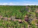 TBD Pounds Hammock Road - Photo 4