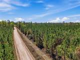 TBD Pounds Hammock Road - Photo 5
