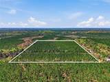 TBD Pounds Hammock Road - Photo 6