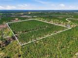 TBD Pounds Hammock Road - Photo 7