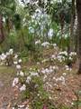 11651 127 Lane - Photo 15