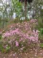 11651 127 Lane - Photo 16
