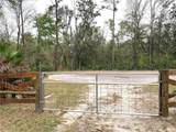 11651 127 Lane - Photo 51