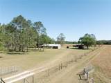 13296 County Road 231 - Photo 12