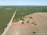13296 County Road 231 - Photo 8
