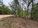 301 Rainbow Drive - Photo 10