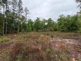301 Rainbow Drive - Photo 3