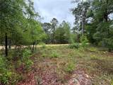 301 Rainbow Drive - Photo 5