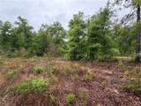 301 Rainbow Drive - Photo 6