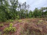 301 Rainbow Drive - Photo 7