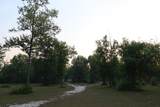 11533 Us 90 - Photo 40