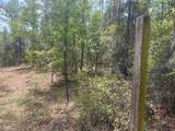 181 Whirlwind Loop - Photo 5