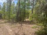 181 Whirlwind Loop - Photo 6