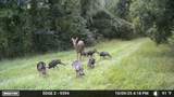 11804 County Road 234 - Photo 13
