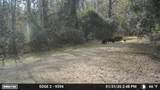 11804 County Road 234 - Photo 15