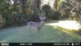 11804 County Road 234 - Photo 4