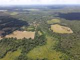 11804 County Road 234 - Photo 43