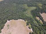 11804 County Road 234 - Photo 44