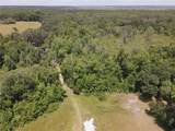 11804 County Road 234 - Photo 53