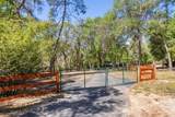 111 Kirby Trail - Photo 78