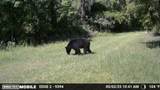 11816 County Road 234 - Photo 10