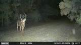 11816 County Road 234 - Photo 38