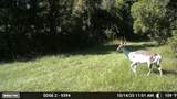 11816 County Road 234 - Photo 42