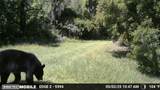 11816 County Road 234 - Photo 68