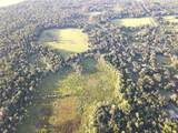 11816 County Road 234 - Photo 70