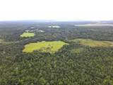 11816 County Road 234 - Photo 72