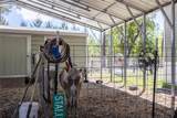 221 Magnolia Road - Photo 17