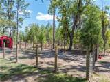 221 Magnolia Road - Photo 34
