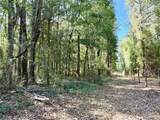 25104 County Road 1491 - Photo 15