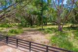 TBD 170TH Street - Photo 25
