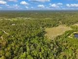  Savanna Lane - Photo 12