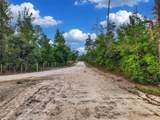  Savanna Lane - Photo 4