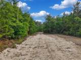  Savanna Lane - Photo 5