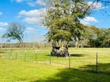 10 50TH Avenue - Photo 40