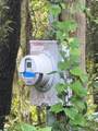 104 Floradandy Road - Photo 9