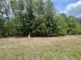0 County Road 229 - Photo 10