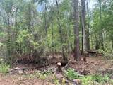 0 County Road 229 - Photo 16