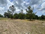 0 County Road 229 - Photo 2