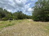 0 County Road 229 - Photo 7