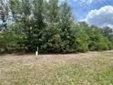 0 County Road 229 - Photo 9